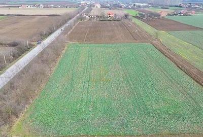 Teren de 6600 mp, în Lazuri - 7