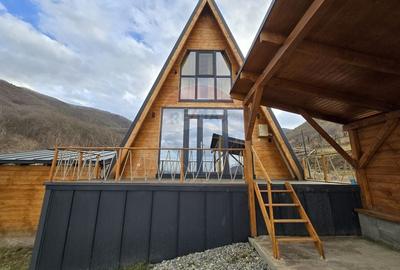Proprietate Speciala in Gura Raului, Sibiu - Doua Cabane A-Frame - 10
