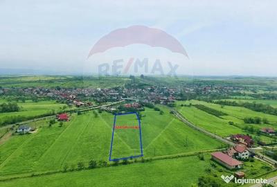 Teren de 6956 mp, în Brăișoru - 5