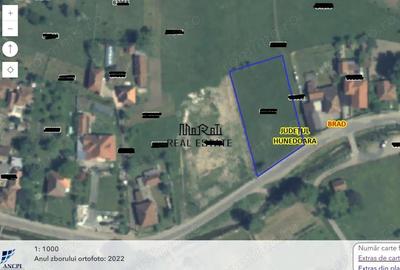 Teren de 1588 mp, în Brad - 2