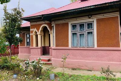 Casă cu 4 camere în Mihai Viteazu - 9