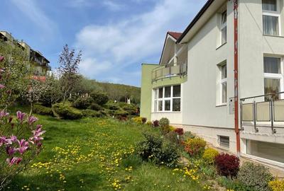 Repozitionare de pret - Vanzare imobil sediu de firma – Teren Generos de 2150 mp - 3