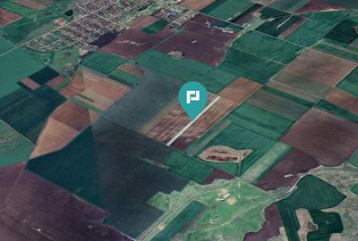 Teren 30.000 mp la drum asfaltat Peciu Nou - 3