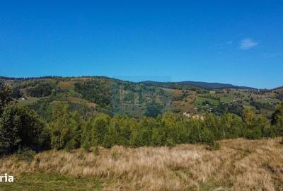 Teren de 1000 mp, în Băișoara - 9