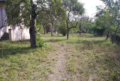 Vand casa de vacanta pe Valea Buzaului - 4