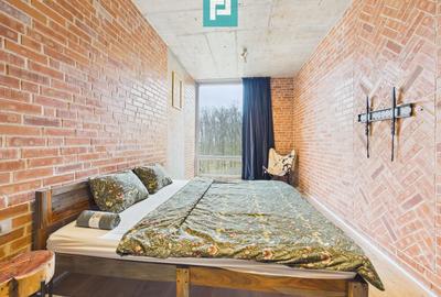 Apartament cu 2 camere, mobilat în Mogoșoaia - 16