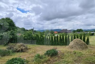 Casă cu 3 camere cu Teren 2900 Mp în Dej - 11