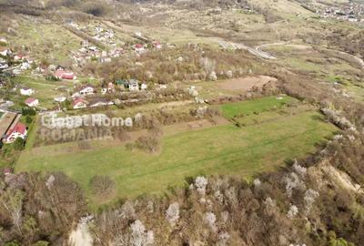 Teren de 23345 mp, în Cornu - 2