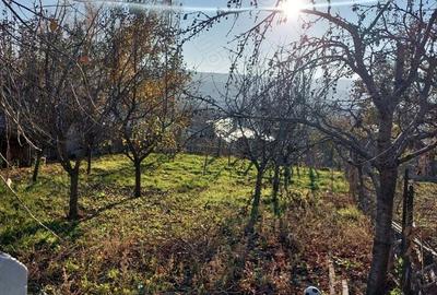 Casă cu 3 camere în Huși - 3