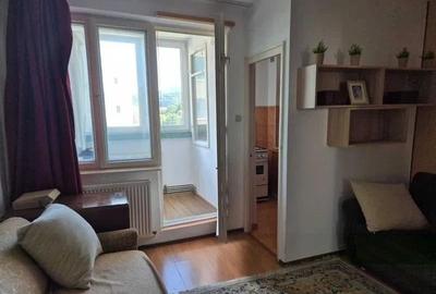 Garsoniera spatioasa cu priveliste spre munti, zona Colina Universitatii - 7