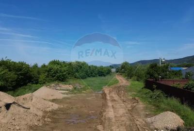 Teren de 11533 mp, în Merișor