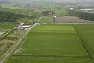 Teren extravilan de 22500mp Zona Ineu - 7