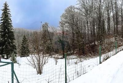 Teren Construcții intravilan de 1794 mp, în Moroeni - 7