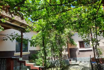 Casă cu 4 camere cu Teren 5131 Mp în Români - 1