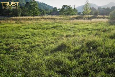 Teren intravilan Bistrita Birgaului, schimb cu apartament - 7