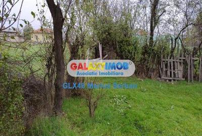 Teren Construcții intravilan de 3000 mp, în Petrești - 2