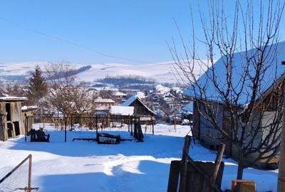 Casă cu 1 camere în Central - 3