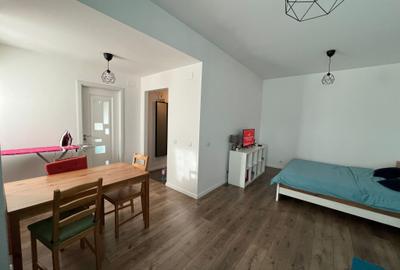 Cartier Brancusi ANL Coloana infinitului - 4