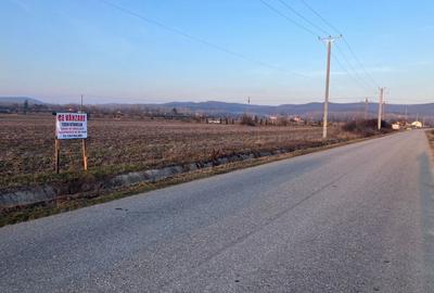 Spațiu comercial, în Crușeț - 2