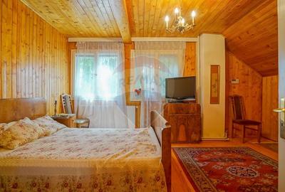 TRAIAN DEMETRESCU 15 | DOUA CASE CU PANORAMA | 3.140 MP TEREN - 47