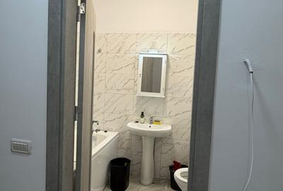 Apartament cu 2 camere decomandat, mobilat în Chiajna - 19