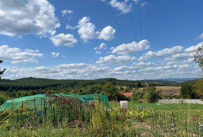 Casă cu 2 camere în Pătârș - 5