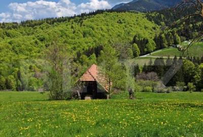 Teren de 3400 mp, în Bran - 4