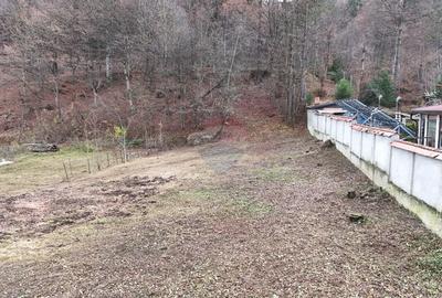 Comision 0% | 1.142 mp | Zona premium de vile - Dambul Morii, Brasov - 3