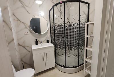 Apartament cu 2 camere decomandat, mobilat în Dudu - 11