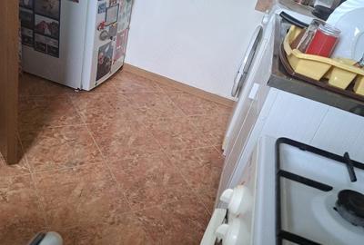 Garsonieră decomandată în Turnișor - 4