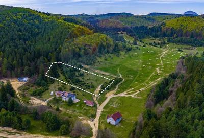 Teren Construcții intravilan de 10000 mp, în Brebina - 4