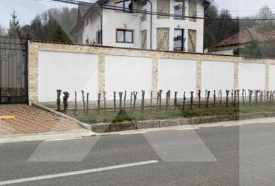 Domeniu de vanzare, Baile Govora(Pausesti-Otasau) cu teren de 20875mp - 7