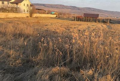 Teren de 1000 mp, în Buhoci - 7