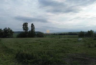 Teren 3953 mp Falticeni Tarna Mare De Vanzare 0727817187 - 12