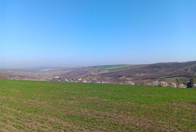 OCAZIE! Vorovesti Teren 83000mp intrav. si extrav. cu utilitati - 2