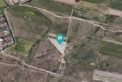 Teren Extravilan Oportunitate Unica de Investi?ie! - 2