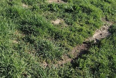 Teren de 400 mp, în Central - 1