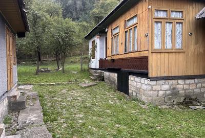 Casă cu 3 camere în Soveja - 2