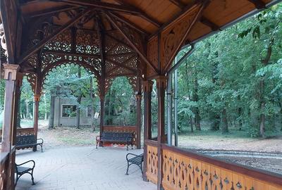 Casă cu 6 camere în Buziaș - 9