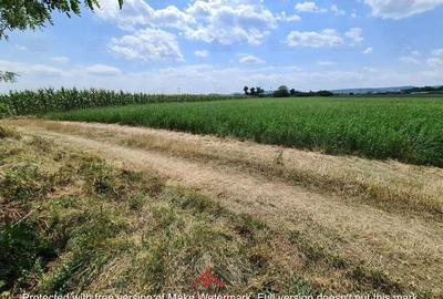 Teren intravilan in Urleta 5300mp--45.050e - 5