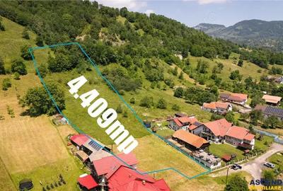 Deschidere spre crestele alpine+ documentatie turistica,4.400 mp de inspiratie naturala - 3