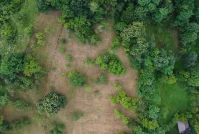 Teren intravilan pentru activitate turistica in Vulcana Bai - 3