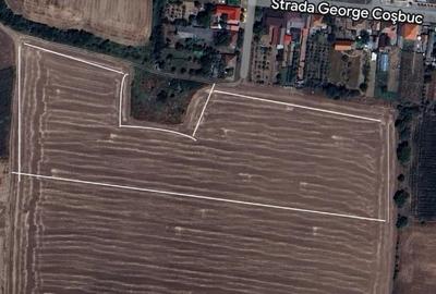 Teren  cu Potențial Rezidențial / Investițional – Macea, Jud. Arad – 3,18ha - 2