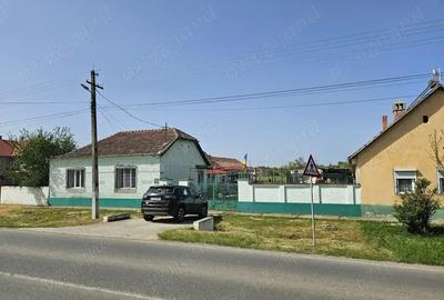 Casă cu Teren 1996 Mp în Giulvăz - 4