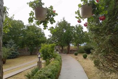 Casa superba in Saliste de Beius - 1