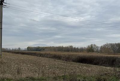 Teren de 5112 mp, în Mândrești-Moldova - 6