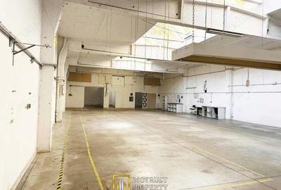 Hala industriala 431 mp de inchiriat central Arad, acces TIR - 4