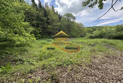 Teren intravilan | 3.128 mp INTRAVILAN | Luncani-de vanzare - 3