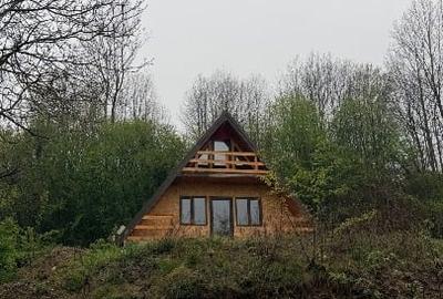Casă individuală cu 3 camere cu Canalizare în Dâmbovicioara - 13
