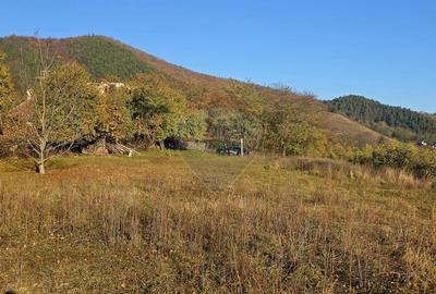 Teren 6,874mp Alexandru cel Bun / Strada plopusor - 13